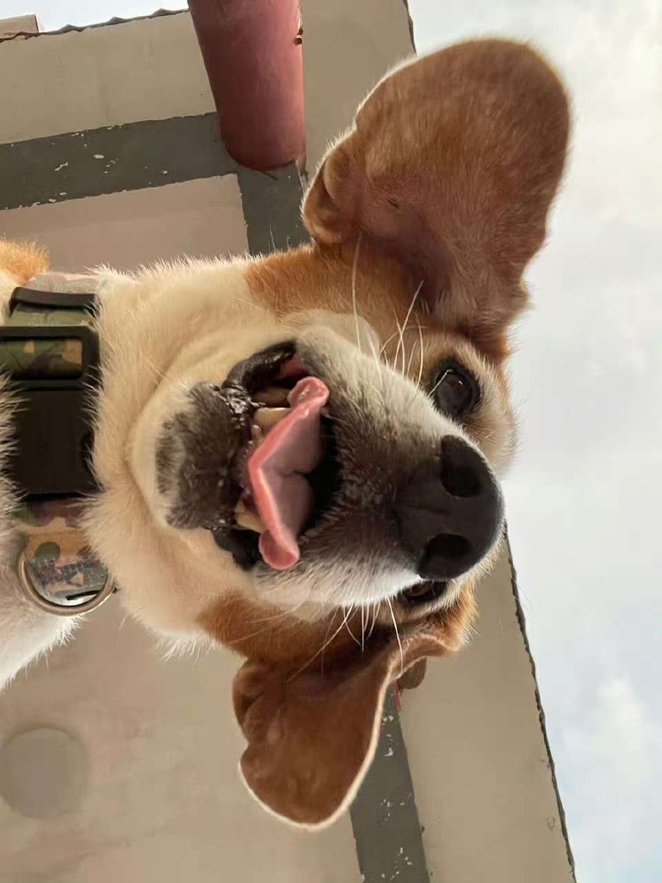 许莉莉